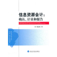 信息资源会计：确认、计量和报告