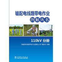 110kv分册-输配电线路带电作业图解丛书