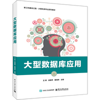 大型数据库应用