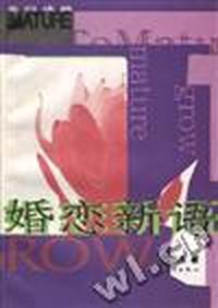 婚恋新语