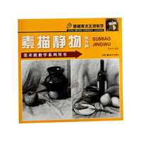 美术班教学系列用书--基础美术正规教学 素描静物 组合篇