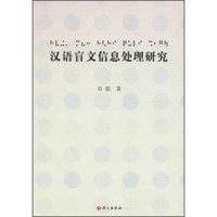 汉语盲文信息处理研究