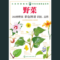 野菜
