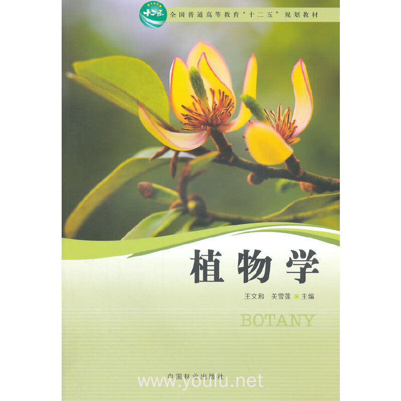 植物学(全国普通高等教育十二五规划教材)