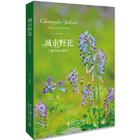 城市野花（精华版口袋书）