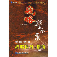 战略警示录-中国企业战略检讨与指南