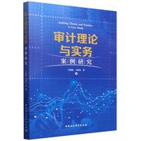 审计理论与实务：案例研究