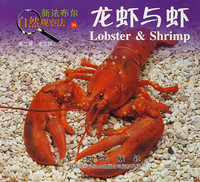 龙虾与虾——新法布尔自然观察法24（第二辑 水王国）