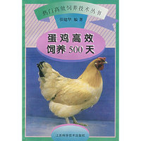 蛋鸡高效饲养500天
