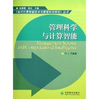 管理科学与计算智能/当代计算智能技术与管理前沿研究丛书