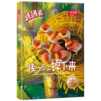 葛翠琳·童书馆精装绘本:猜猜看--谁从天上掉下来