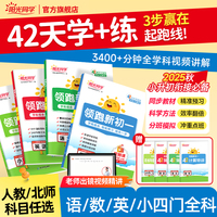 2025阳光同学领跑新初一小升初衔接语文七年级上册全解全套小升初六升七教材资料书初中课本同步人教版