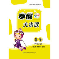 2016年 寒假大串联：六年级数学（人民教育教材适用）