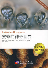 蜜蜂的神奇世界