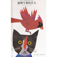 猫咪午餐吃什么