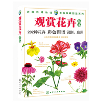 观赏花卉-草本