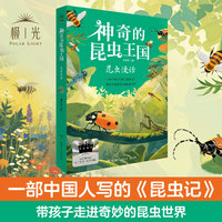 2025年百班千人暑期书目四年级 神奇的昆虫王国·昆虫漫话 名师推荐正版现货
