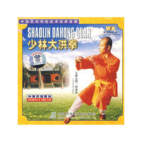 少林大洪拳 中国民间传统武术经典套路(VCD)
