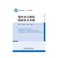 爆炸冲击数值模拟技术基础
