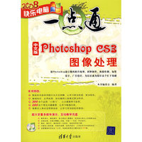 中文版Photoshop CS3图像处理(2008)(快乐电脑一点通)