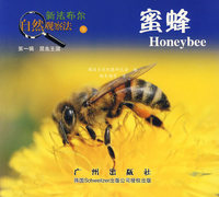 蜜蜂——新法布尔自然观察法3（第一辑 昆虫王国）
