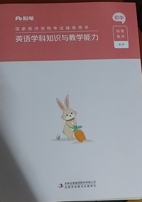 英语学科知识与教学能力  初中（附真题 解析）