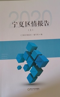 宁夏区情报告   2020（上）