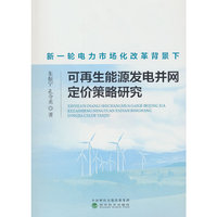 新一轮电力市场化改革背景下可再生能源发电并网定价策略研究