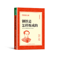 钢铁是怎样炼成的正版书籍经典悦读之旅系列尼古拉奥斯洛夫斯基原著初高中必读书目世界经典文学名著