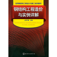 实用钢结构工程设计与施工系列图书--钢结构工程造价与实例详解