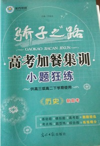高考加餐集训 历史
