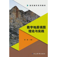 数字地质填图理论与实践