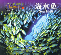 海水鱼——新法布尔自然观察法（第二辑 水王国）