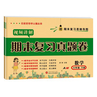期末复习真题卷六年级数学 RJ人教版 下册 试卷测试卷 赠期末复习必背打卡计划
