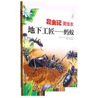 昆虫记美地下工匠--蚂蚁 小学生一二三年级课外阅读