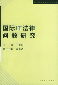 国际IT法律问题研究——国际法与比较法专题研究丛书