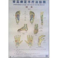 眩晕/常见病足手疗法挂图(常见病足手疗法挂图)