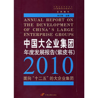 中国大区企业集团年度发展报告(紫皮书)