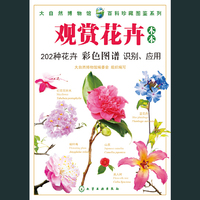 观赏花卉 木本