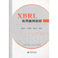XBRL实用案例剖析