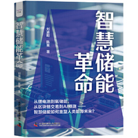 智慧储能革命 揭示储能行业的技术路线与底层逻辑 洞见能源革命的未来图景