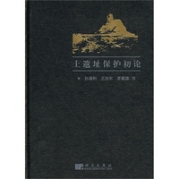土遗址保护初论