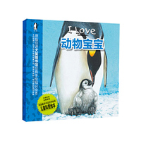 动物宝宝-我爱动物小百科