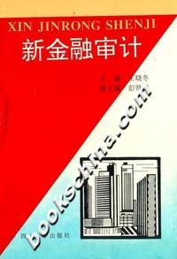 新金融审计