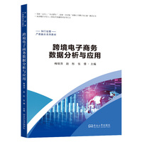 跨境电子商务数据分析与应用