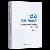 “巴铁”是怎样炼成的 ——冷战时期的中国与巴基斯坦关系 （1951—1965）