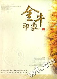 金牛印象