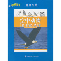空中动物
