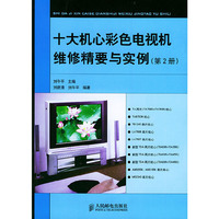 十大机心彩色电视机维修精要与实例(2)