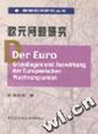 欧元问题研究